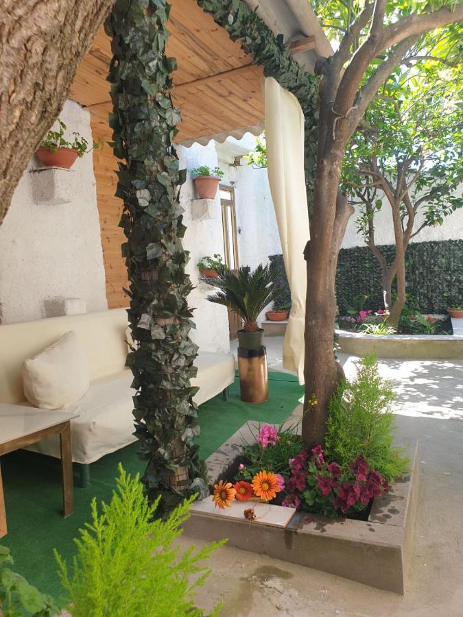 Casa Vacanze Con Giardino E Area Barbecue Martis エクステリア 写真