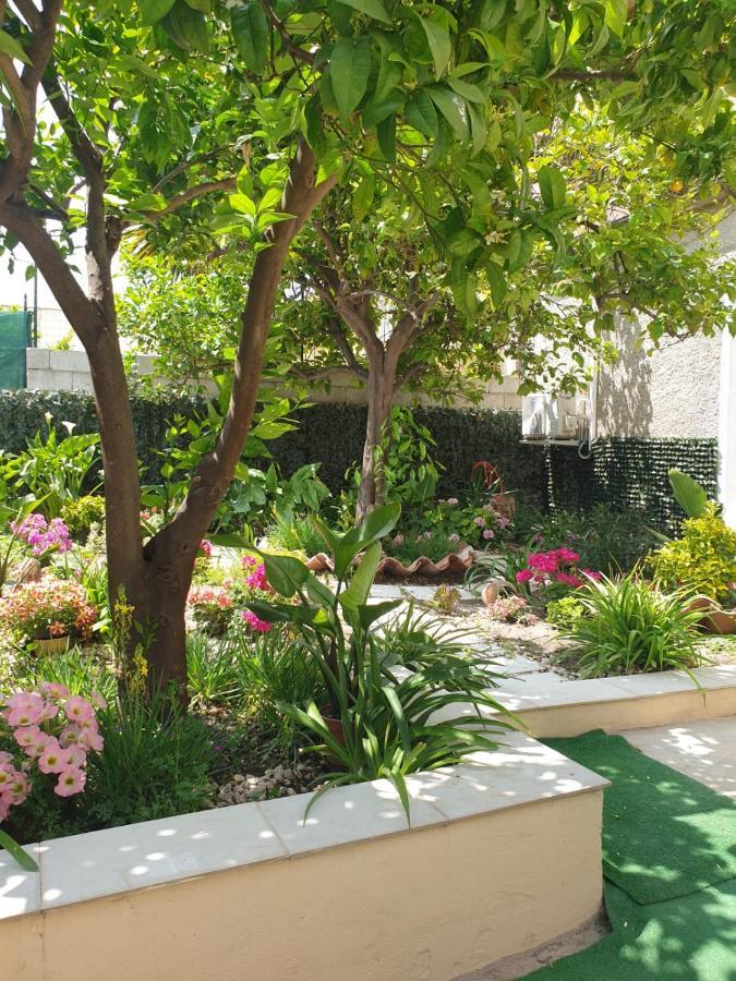 Casa Vacanze Con Giardino E Area Barbecue Martis エクステリア 写真